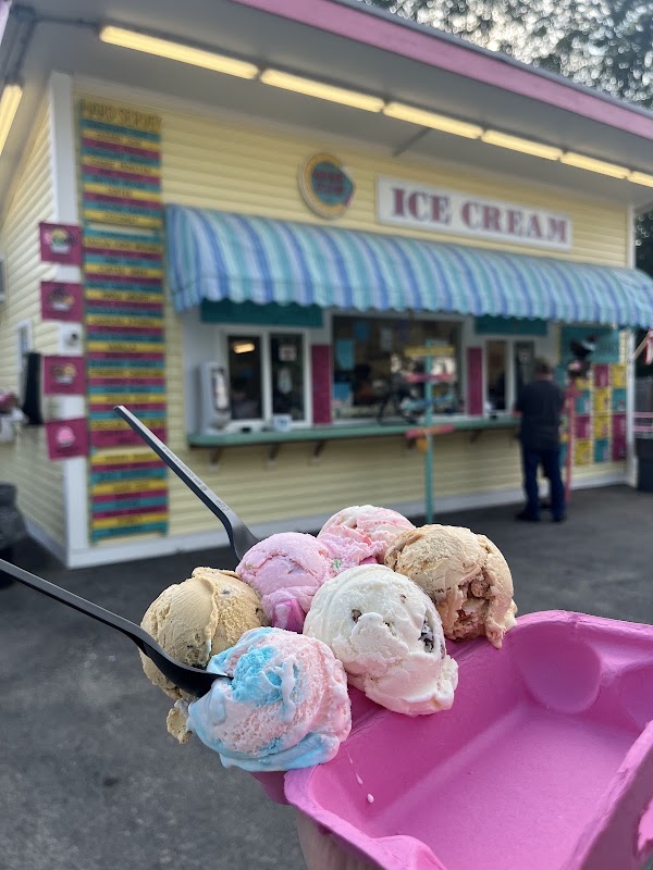 The Maine Scoop Company