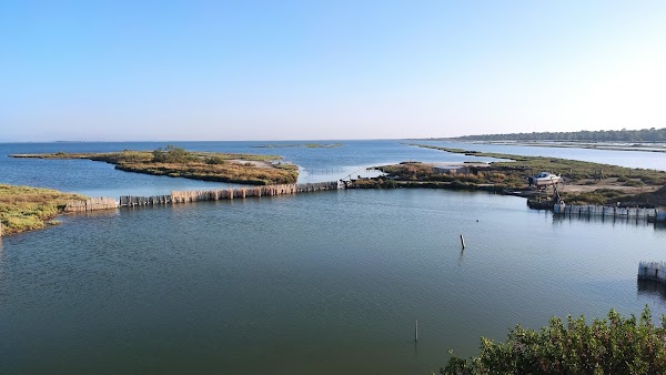 Divjaka-Karavasta National Park