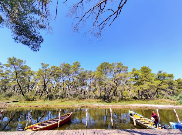 Divjaka-Karavasta National Park 5