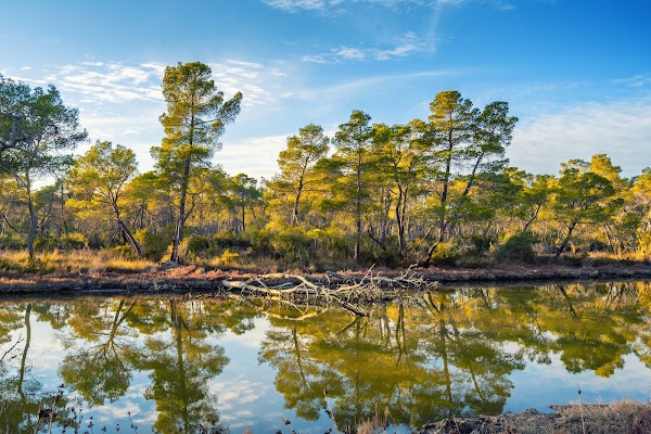 Divjaka-Karavasta National Park 4