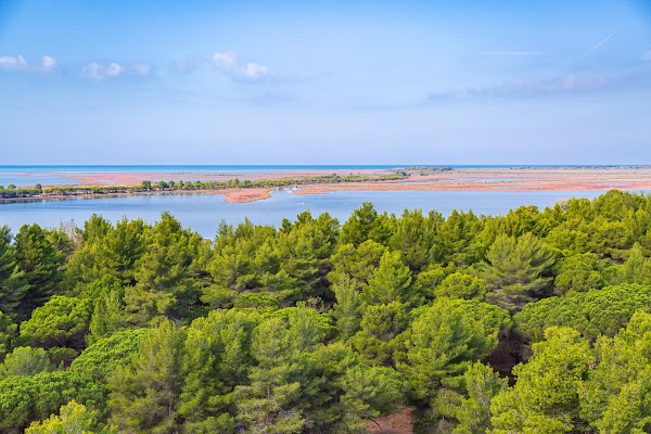 Divjaka-Karavasta National Park 3
