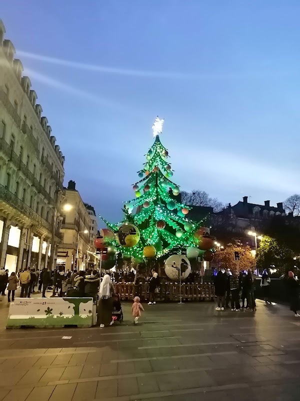 Place du Capitole 2