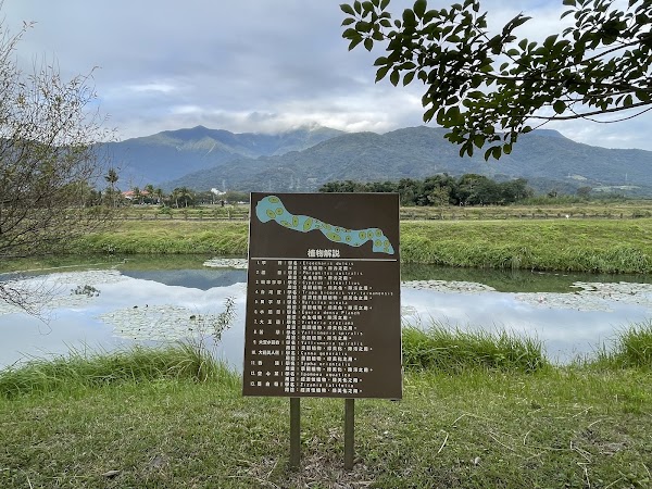 Yuli Wet Land 1