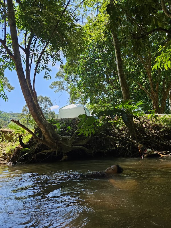 Sungai Semungkis