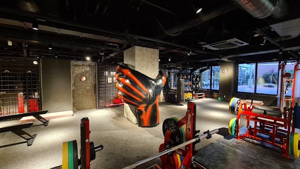 ONE PIECE FITNESS BragMen