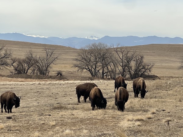 Rocky Mountain Arsenal National Wildlife Refuge 5
