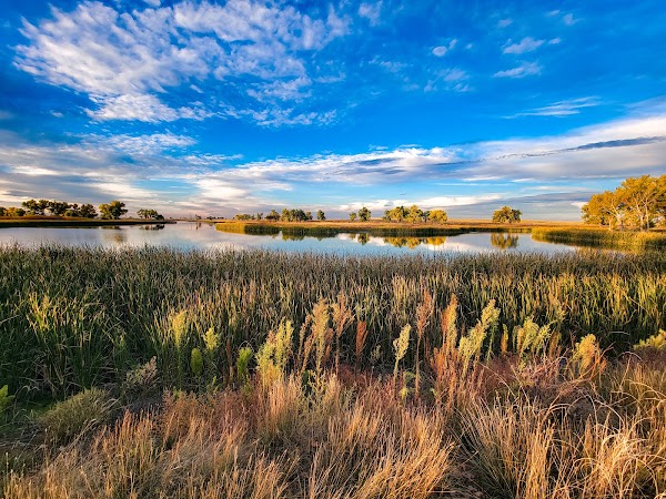 Rocky Mountain Arsenal National Wildlife Refuge 2