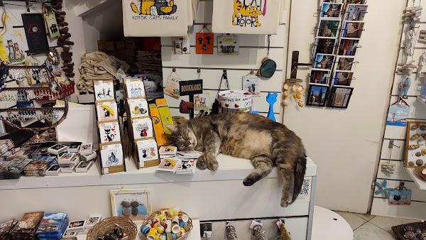 Danijela’s Shop 4