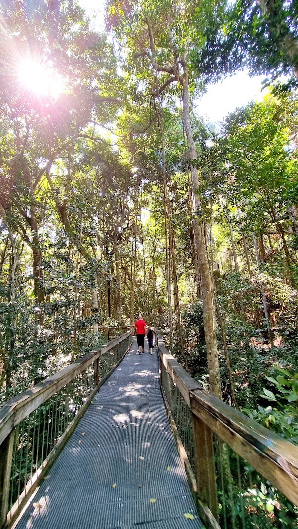 Sea Acres Rainforest Boardwalk 1