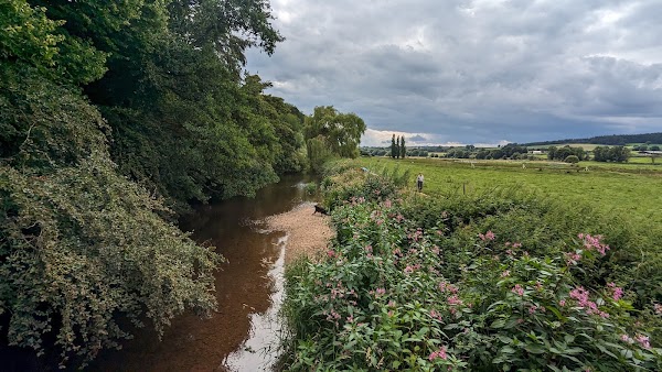 River Otter