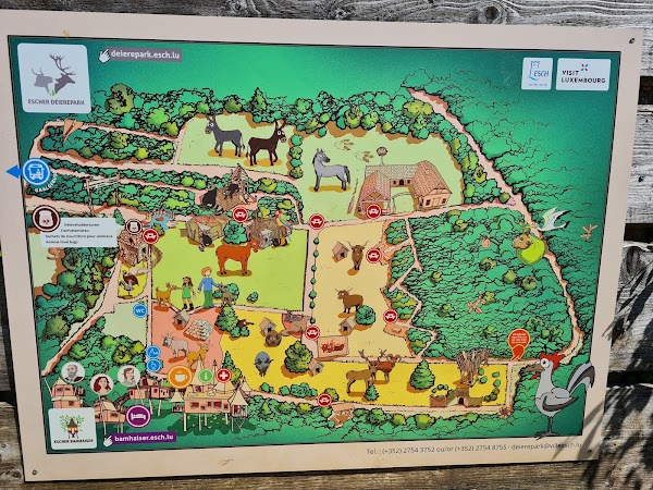Escher Tier Park 1