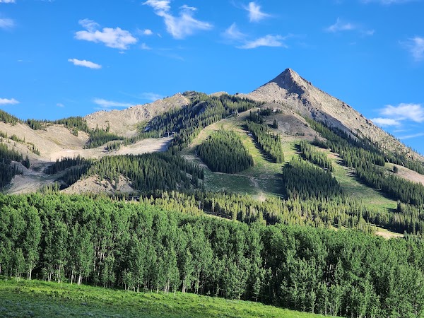 Crested Butte Wildflower Festival 5