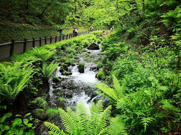 Shiraito Waterfall 2