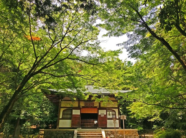 Jizō-in Temple (Take-no-tera) 5