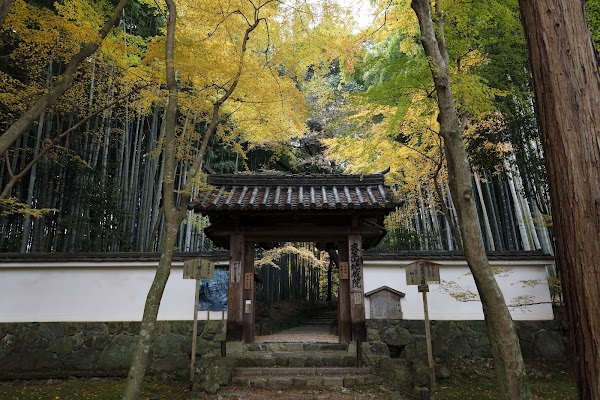 Jizō-in Temple (Take-no-tera) 4