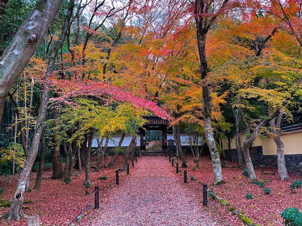Jizō-in Temple (Take-no-tera) 3