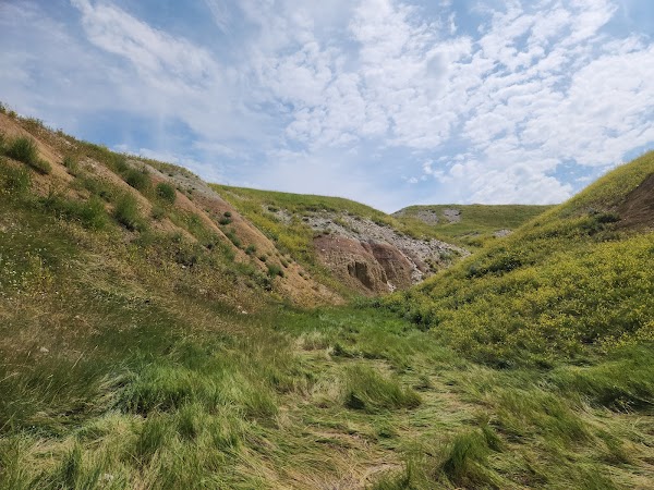 Buffalo Gap National Grassland 2