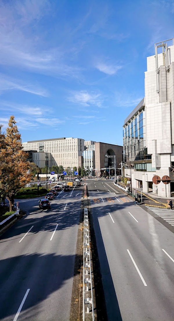 Gaienhigashi-Dori Avenue