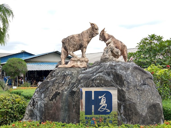 Hay Dairies Pte Ltd (Goat Farm) 4