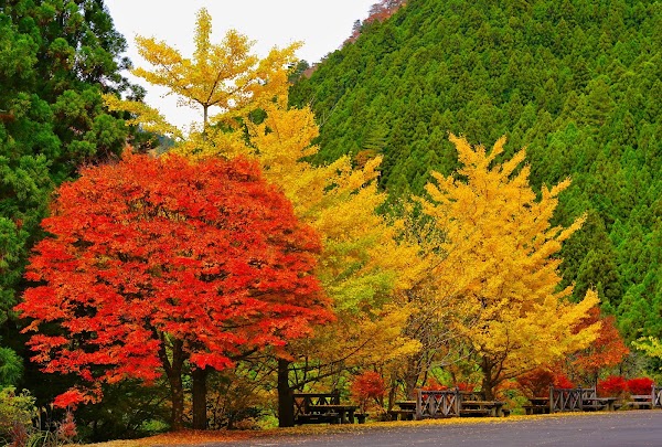Konose Gorge