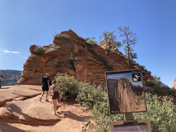 Scout Lookout 4