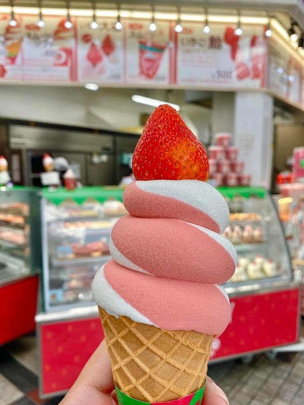 Strawberry Mania (Dotonbori Branch) 5