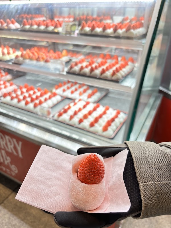 Strawberry Mania (Dotonbori Branch) 4