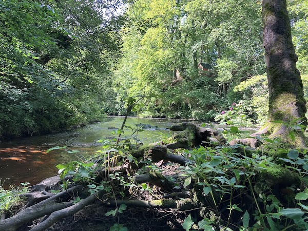 River Nidd