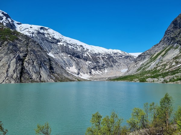 Nigardsbreen
