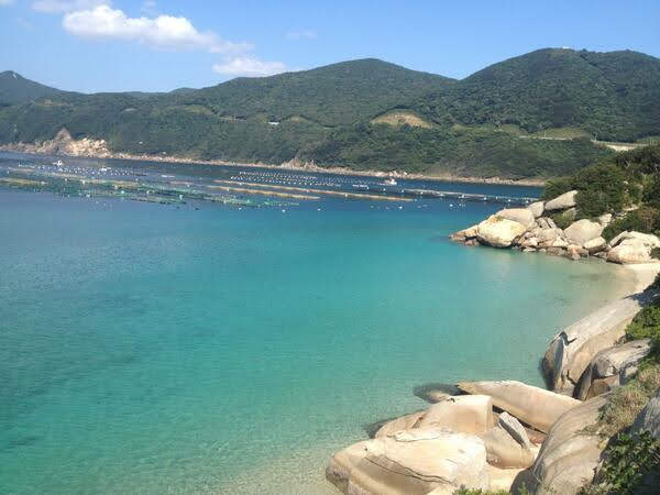 Kashiwa Island 5