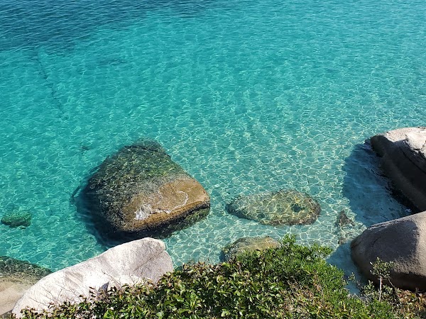 Kashiwa Island 2