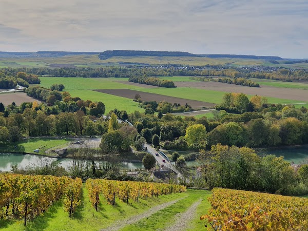 Le Mesnil-sur-Oger
