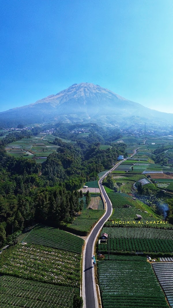 Topview sukoyoso 1