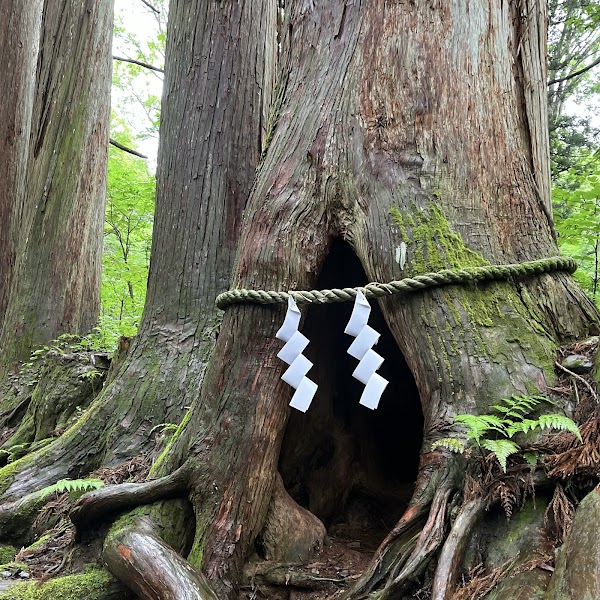 Cedar Promenade of Inner Togakushi 5