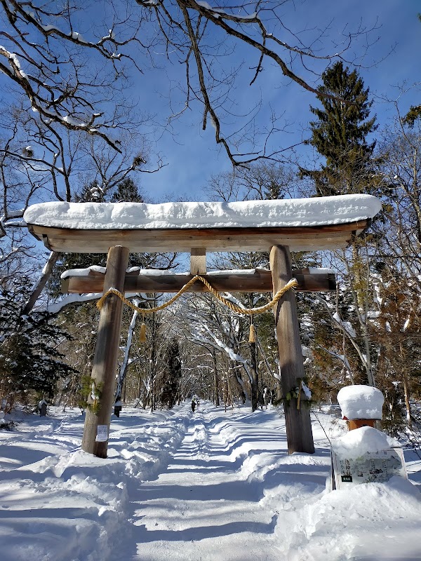 Cedar Promenade of Inner Togakushi 4