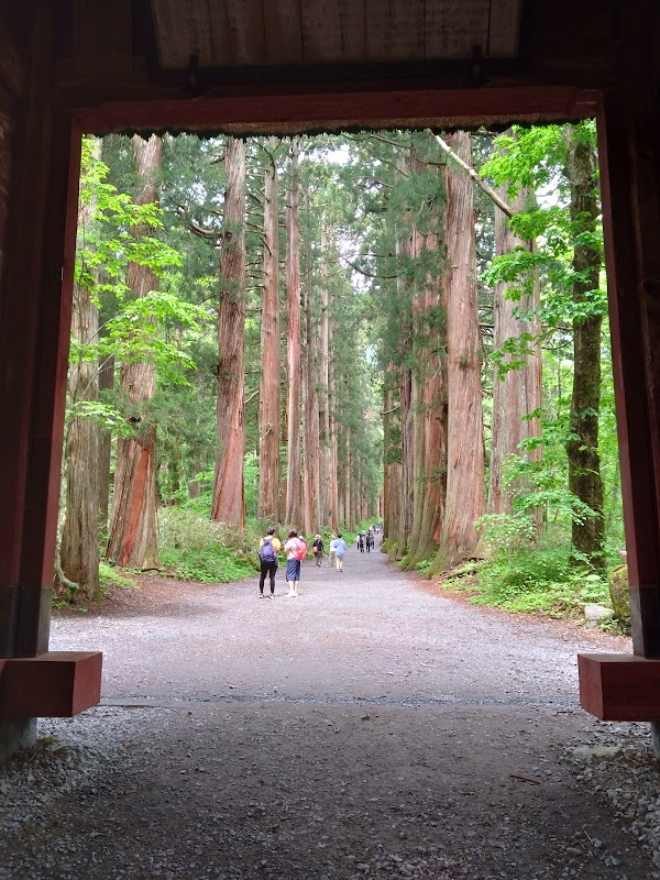 Cedar Promenade of Inner Togakushi 3
