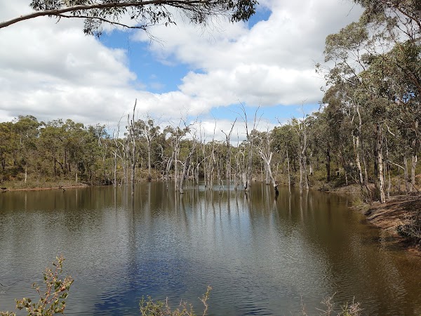 Paruna Sanctuary