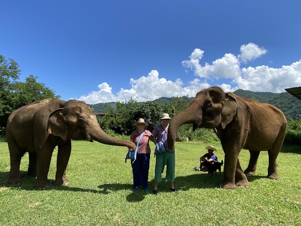 Happy Elephant Home 1