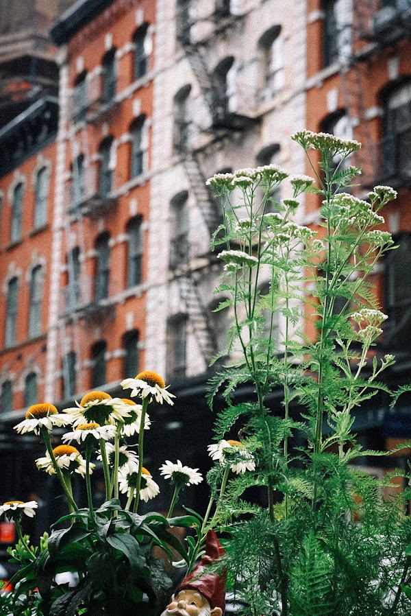 Tribeca 4