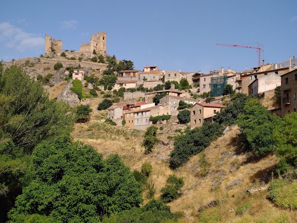 Pelegrina 1