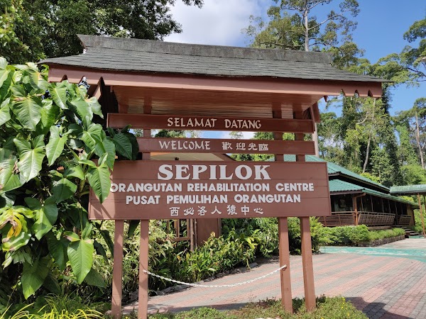 Pusat Pemuliharaan Orang Utan Sepilok