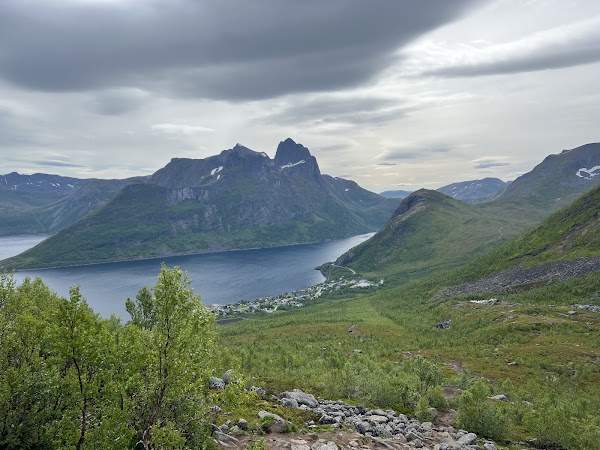 Senja 4