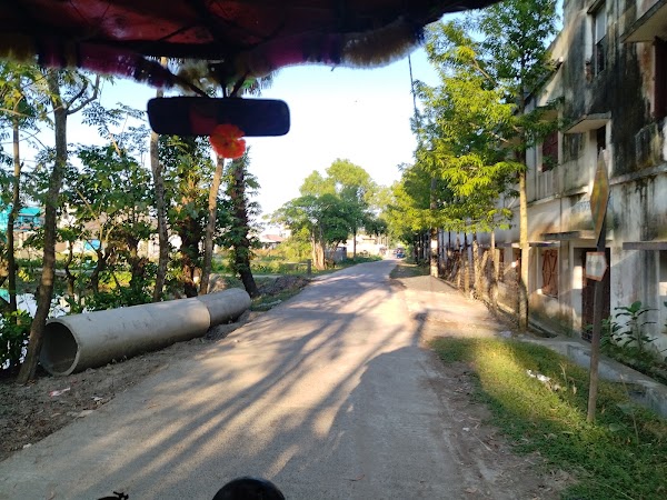 Sundarbans
