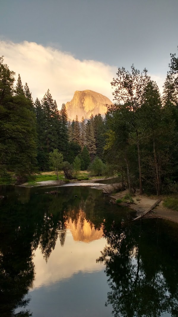Cook's Meadow Loop Trailhead 4