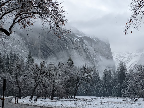 Cook's Meadow Loop Trailhead 3
