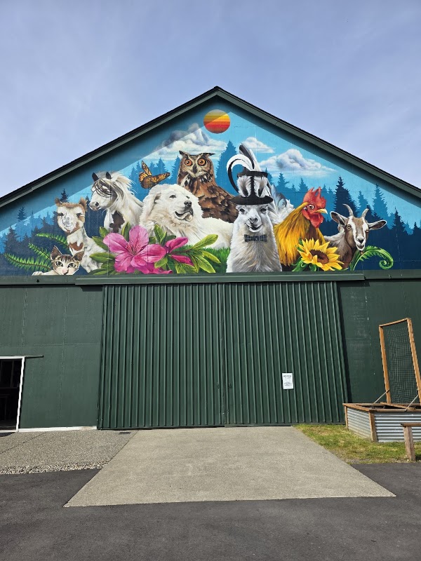 Sawdust Hill Alpaca Farm 1