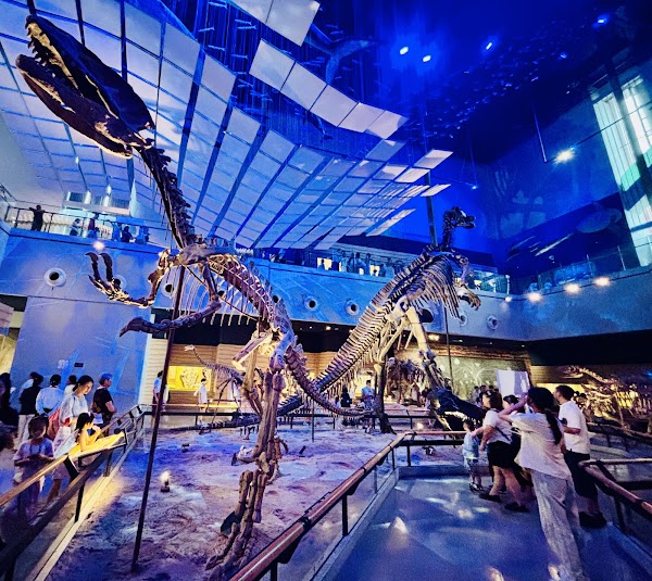Guangdong Museum 3