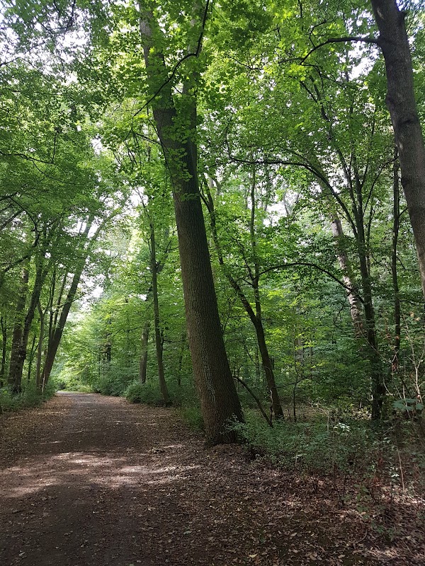 Bürgerpark 3