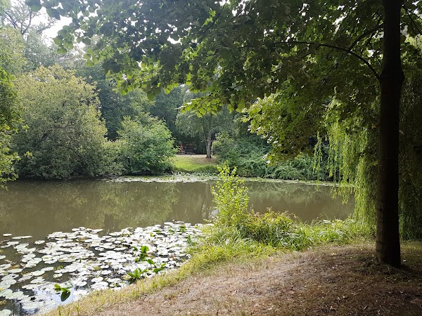 Bürgerpark 2