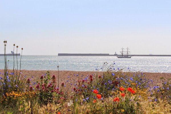 Port of Dover 1
